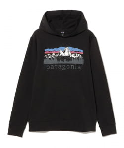 patagonia / Fitz Roy Foothills Daily Hoodie