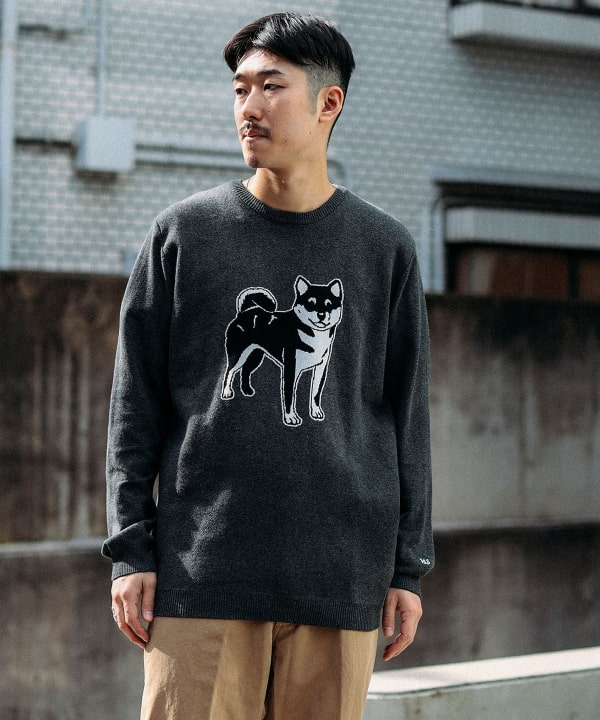 BEAMS（ビームス）fLAnsisCA / Jacquard Knit 23AW（トップス ニット