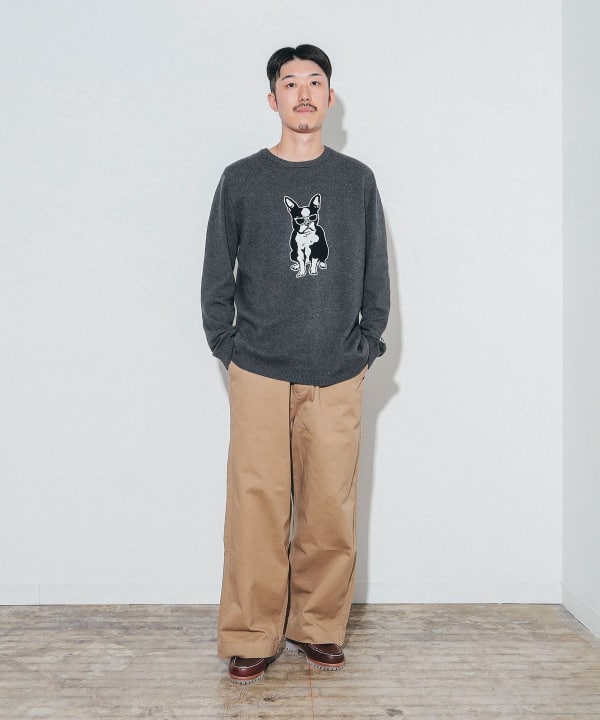 BEAMS（ビームス）fLAnsisCA / Jacquard Knit 24AW（トップス ニット・セーター）通販｜BEAMS