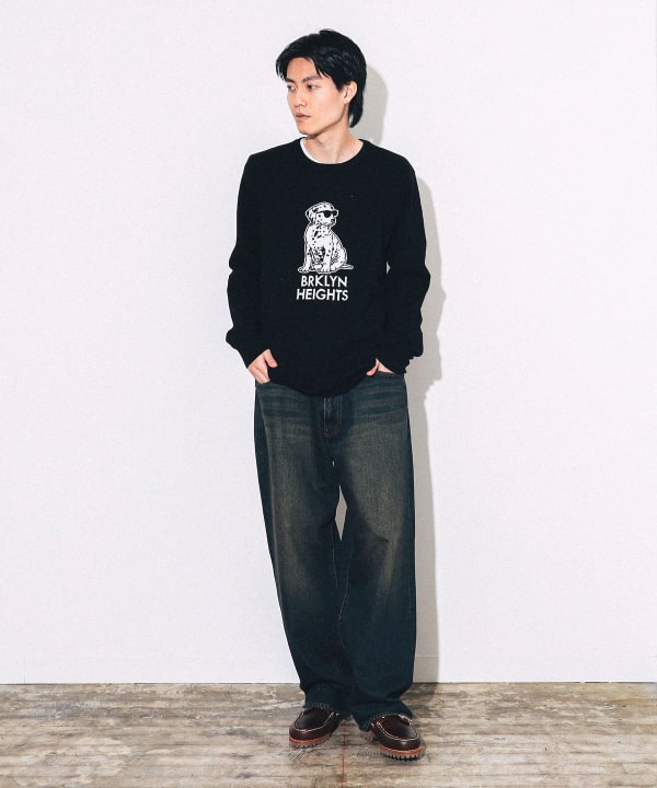 BEAMS（ビームス）fLAnsisCA / Jacquard Knit 24AW（トップス ニット・セーター）通販｜BEAMS