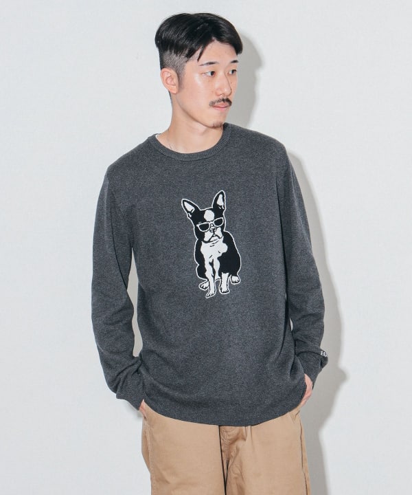 BEAMS（ビームス）fLAnsisCA / Jacquard Knit 24AW（トップス ニット・セーター）通販｜BEAMS