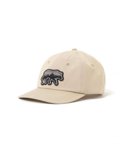 patagonia / バック フォー グッド トラッド キャップ