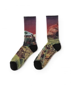 WHIMSY SOCKS / DAY DREAMING SOCKS