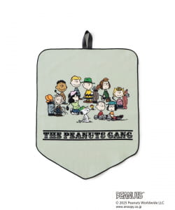 THE PEANUTS GANG ペナント タオル
