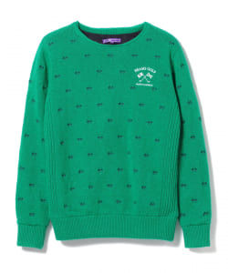 BEAMS GOLF PURPLE LABEL / ハンド エンブロイダリー セーター
