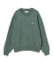 GREYISH GREEN
