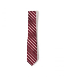 Silk Stripe Narrow Tie① 25SS
