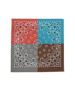 HAV-A-HANK / PANEL BANDANA