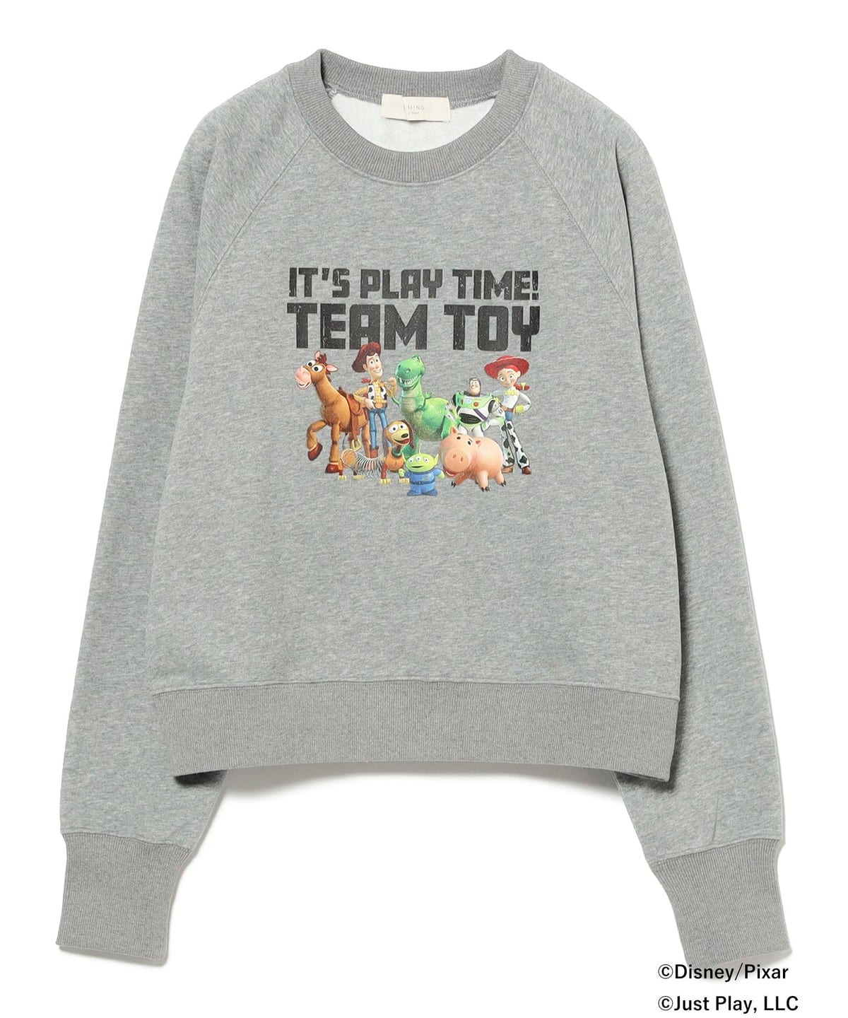 TOY STORY スウェット トップス WOMEN TOP GREY ONE SIZE