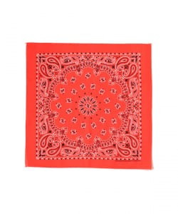 ▲THE BANDANA COMPANY / バンダナ