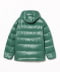 CONFIRE GREEN