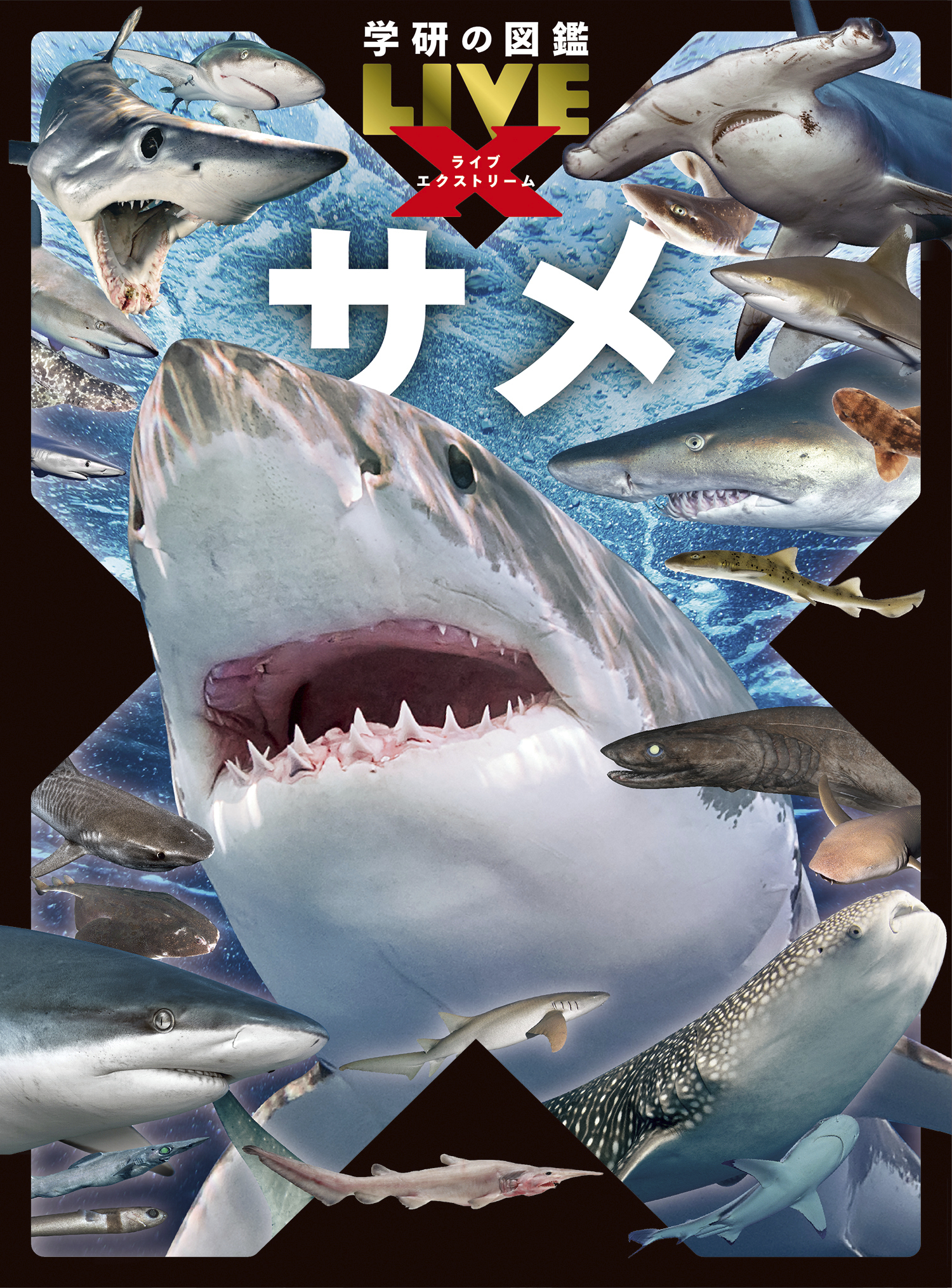学研的图鉴LIVE Extreme