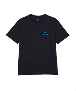 Ostrya / 男裝 短袖T恤 Core Logo Heavy DuTee